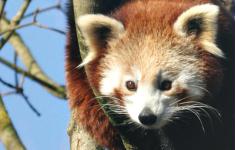 Munich Zoo Hellabrunn